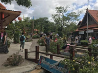 2020十個必去清邁旅游的理由 泰國清邁有著“泰北玫瑰”之稱,無論是這里的古城還是夜市，都有著必去打卡的理由，下面就跟著小編一起來看看吧。