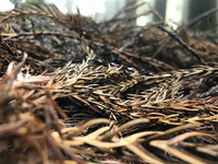 重慶周邊新晉一批4A景區，去了才知道這么美！ 連日來，我市文旅行業陸續復工復產， 截至目前，全市已有超過100家景區， 在做好防控措施的同時， 有序恢復開放并且小編發現又有一批4A景區來啦， 下面跟著來看看這些景區吧， 它們都是踏青郊游的好地方。