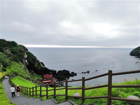 濟州島自駕游之看海線路推薦 濟州島自駕游之看海線路推薦:濟州島的海邊景致是最誘人的，故被稱為韓國的夏威夷。在這里，12號環線公路是海岸線公路中最經典的線路，很快就可以把濟州島轉個圈，而在這條路上有許多出口連接通向大海的海邊公路，其中有4條線路景色最為優美。
