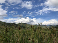 瀘沽湖旅游攻略（景點+習俗） 瀘沽湖旅游攻略（景點+習俗）早晨的第一抹陽光靜靜的灑在瀘沽湖上，給這份寧靜的美麗增添一份光亮。你可以湖邊悠閑地走著，呼吸著城市不存在的舒暢；你也可以和當地人聊著天兒，享受最自在的自己！另外，冬天的瀘沽湖你可以看見平時看不見的鷗鳥，成群野鴨，還可能遇到雪景。