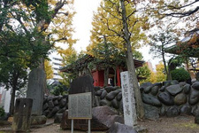 冬季日本温泉酒店推荐，感受山涧的宁静