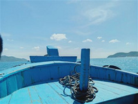 中國游客去越南有哪些注意事項？ 如今中國人的日子是過的越來越好了，錢包也是越來越鼓了。生活水平有所提高了，出去旅游也就變的越來越普遍了。有些人的旅游目的地已經不再是中國的名山大川，而是國外的名勝古跡、自然風光。