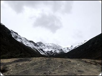 四川 黃龍 夏季 袁銀月