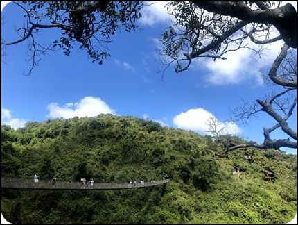 海南 三亞市 吉陽區 亞龍灣熱帶天堂森林公園 夏季 袁銀月