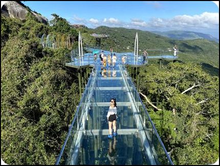 海南 三亚市 吉阳区 亚龙湾热带天堂森林公园 夏季 袁银月