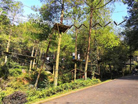 這個夏天，來萬盛奧陶紀清涼一夏！ 海拔高達1300米、距離重慶主城一個半小時車程的網紅景區——萬盛奧陶紀主題公園，不僅是各種高空刺激項目的集結地，還是重慶周邊一處清涼避暑勝地。下面就帶大家一探它是如何趕走暑熱，成為納涼勝地的吧!