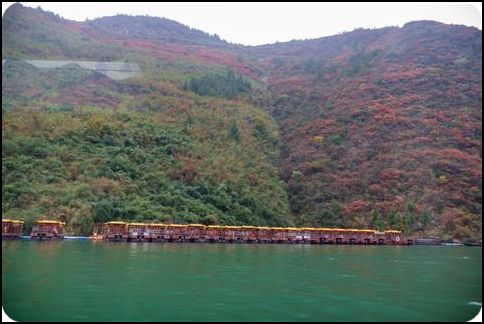 中國 重慶 巫山 神女溪 三峽 冬季 楊志熠