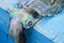 2020巴厘岛特色旅游景点推荐