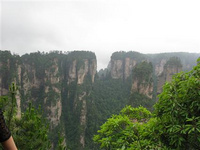 秋天湖南旅游玩什么？ 在湖南秋天玩什么？看紅楓、觀“金葉”、品桂花、賞蘆葦……這個秋天，我們可以這樣過。