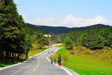 2020仙女山國際風(fēng)箏放飛季亮點(diǎn)介紹 2020仙女山國際風(fēng)箏放飛季亮點(diǎn)介紹：草長鶯飛的4月即將到來，仙女山“南國草原”也將迎來一年一度的春季旅游娛樂盛事——2020仙女山國際風(fēng)箏放飛季。據(jù)悉，此前仙女山大草原已經(jīng)連續(xù)兩年成功舉辦，吸引了眾多游客前往觀看風(fēng)箏大賽，參與風(fēng)箏放飛，領(lǐng)略南國草原風(fēng)情和世界風(fēng)箏文化。