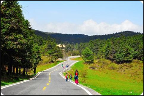 chongqing 重慶 武隆 仙女山國家森林公園