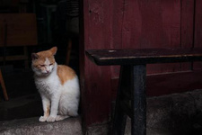 2020重慶春季旅游線路推薦（2） 2020重慶春季旅游線路推薦（2）（八）養生長壽休閑一日游	品巴渝風情文化，賞江南水鄉古鎮，游覽我國西南地區最大的人工湖。