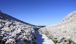 冬季金佛山滑雪泡溫泉,一樣都不能錯過 冬季的金佛山一片皚皚的白雪，游客行走在林海雪原中，欣賞著美麗雪景。不僅如此游客還能在金佛山的滑雪場內盡情的玩耍，玩耍之后再泡一泡溫泉，亦是一件非常讓人愜意的事情。