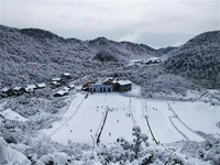 金佛山免门票时间或将延长