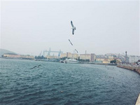 大連海洋島旅游島上情況介紹 大連海洋島旅游島上情況介紹,大連東北部,黃海的東端,有一座并不是很多人都知道的神秘海島,這個海島上有世代生活在這里的人們,盡情享受著大自然賜予,賜予的這個非常漂亮的海洋仙境。