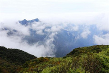 梵凈山一年四季賞景攻略 梵凈山海拔兩千五百多米，位于貴州東北部的銅仁地區，是世界自然遺產、國家5A級旅游景區。她含蓄而秀美，一年四季皆可賞景!她用那流動著的云霧遮面，像是在等待誰揭開她薄薄的面紗，傾聽她的南國情懷。