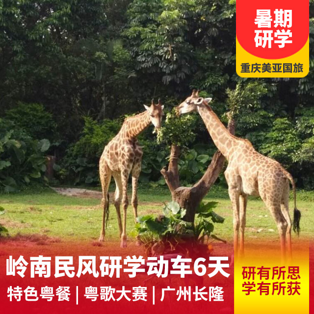 广州长隆民俗研学行动车六日游
