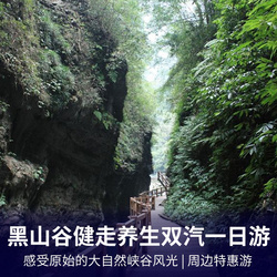 重庆万盛黑山谷健走养生双汽一日游