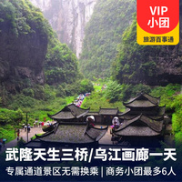 重庆到重庆旅游_【小包团】武隆天生三桥一日游