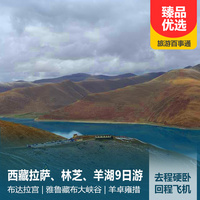 重庆到境内旅游_西藏拉萨、林芝、羊湖卧去回飞9日/双卧11日游