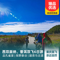 重庆到野象谷旅游_西双版纳、普洱双飞6日游