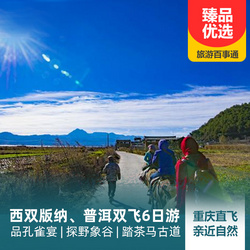 野象谷旅游線路：西雙版納 普洱雙飛6日游 品孔雀宴 探野象谷 踏茶馬古道