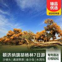 重庆到内蒙古旅游_【空调专列】额济纳旗胡杨林7日游