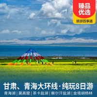重庆到甘肃旅游_青海湖、莫高窟、茶卡盐湖、察尔汗盐湖纯玩8日游
