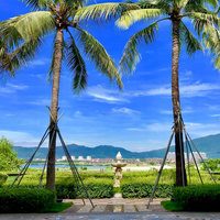 重庆到天涯海角旅游_三亚品质纯玩双飞五日游