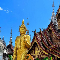 網紅打卡旅游線路之西雙版納直飛5日游