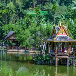 野象谷旅游線路：西雙版納5天4晚純玩五日游 贈(zèng)送價(jià)值356元的傣族換裝 下午茶 純玩0購(gòu)物