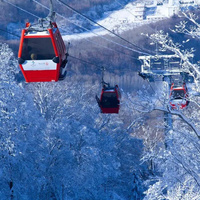 重庆到东北旅游_哈尔滨+亚布力+雪乡双飞6日游