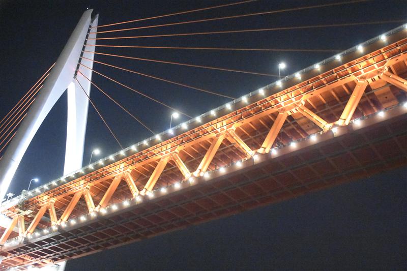 Chongqing Night View, Two Rivers Cruise, Chongqing Two Rivers Tour, Night View Bridge