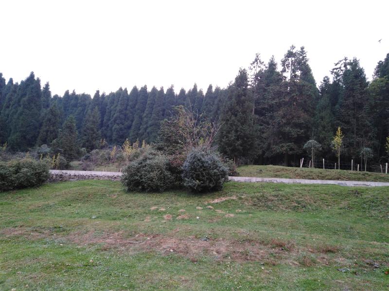 中國 重慶 武隆仙女山 