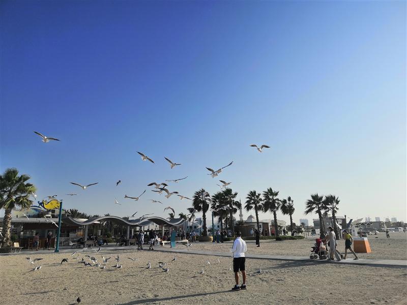 地中海MSC鸿图号Grandios阿联酋
