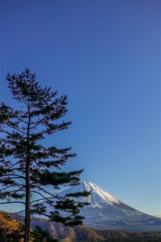 富士山近照图片