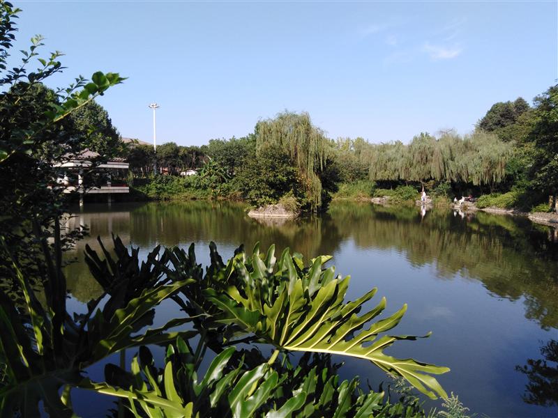 重庆市 江北区 鸿恩寺森林公园 