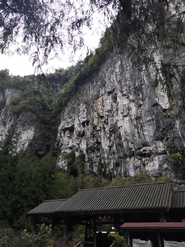 中国 武隆 天生三桥 春天 胡昭勇