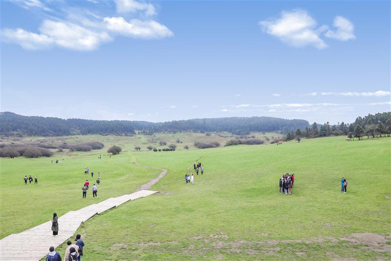 重庆 武隆仙女山草原 秋天