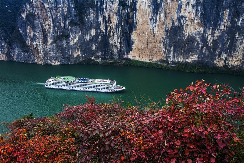 新瞿塘峡红叶