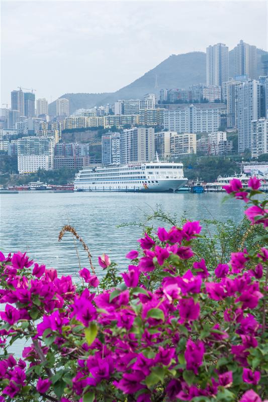 黄金游轮 硬件 外观 黄金游轮