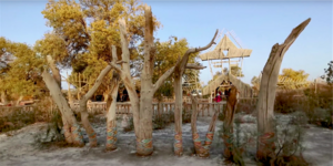 中国 新疆 罗布人村寨6