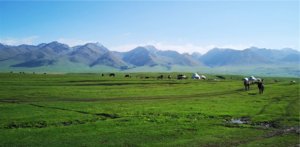 中国 新疆 那拉提草原