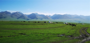 中国 新疆 那拉提草原4