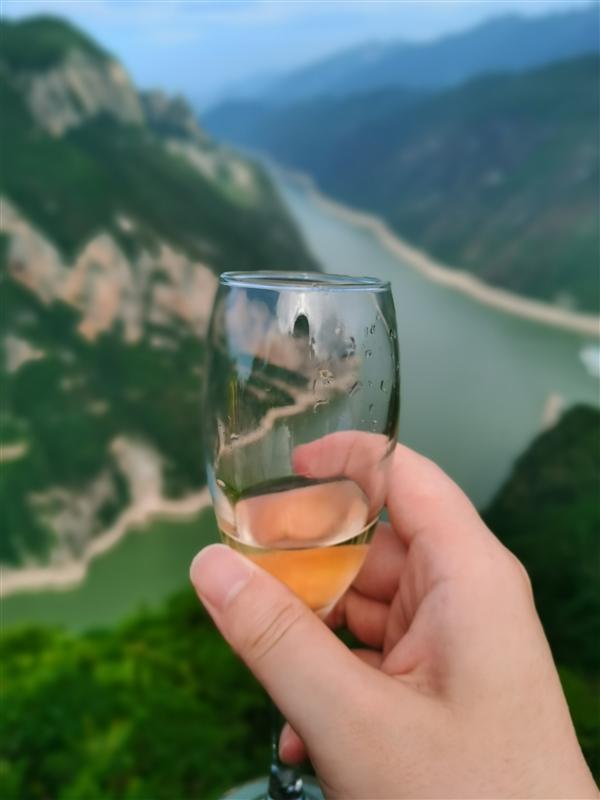 長江探索號神女天路舉杯共飲