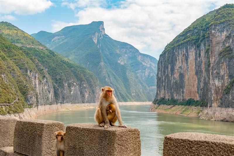 白帝城景区赤甲楼瞿塘峡