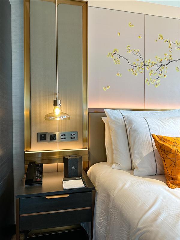 世紀綠洲總統套房