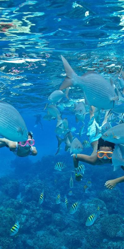 地中海管乐号邮轮