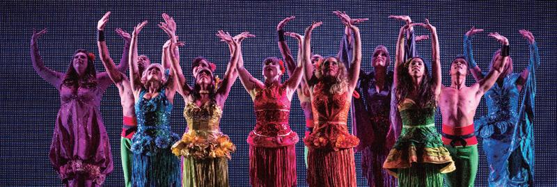 海洋邮轮皇家加勒比邮轮2