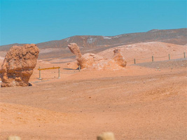 南方列车 潇湘号 哈密 大海道魔鬼城 瀚海神龟景点